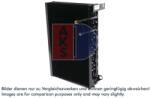AKS DASIS Condensator, climatizare AKS DASIS 420042N (420042N)