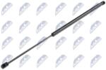 NTY Amortizor portbagaj NTY AE-CT-025 (AE-CT-025)