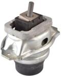 TEDGUM Suport motor TEDGUM TED96746 (TED96746) - automobilus