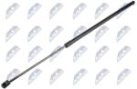 NTY Amortizor capota NTY AE-WW-042 (AE-WW-042)
