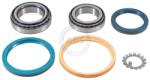ABS Set rulment roata ABS 200313 (200313)