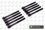BGA Set surub, chiulasa BGA BK6378 (BK6378)