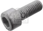 Febi Bilstein surub ax, cardan FEBI BILSTEIN 101235 (101235)