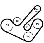 Continental Ctam Set curea transmisie cu caneluri CONTINENTAL CTAM 6PK1555K9 (6PK1555K9)