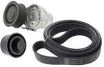 SKF Set curea transmisie cu caneluri SKF VKMA 36134 (VKMA 36134)