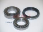 ASHIKA Set rulment roata ASHIKA 44-11003 (44-11003) - automobilus