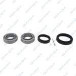 GSP Set rulment roata GSP GK1366 (GK1366)