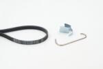 Continental Ctam Set curea transmisie cu caneluri CONTINENTAL CTAM 4PK916 ELAST T1 (4PK916 ELAST T1) - automobilus