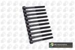 BGA Set surub, chiulasa BGA BK6383 (BK6383)