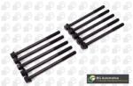 BGA Set surub, chiulasa BGA BK3376 (BK3376)