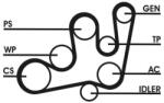 Continental Ctam Set curea transmisie cu caneluri CONTINENTAL CTAM 6PK1642D2 (6PK1642D2) - automobilus