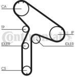 Continental Ctam Curea de distributie CONTINENTAL CTAM CT980 (CT980)