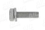 AIC Surub, brat oscilant AIC 51867 (51867)