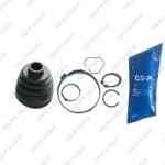 GSP Ansamblu burduf, articulatie planetara GSP 700130 (700130)