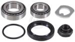 ABS Set rulment roata ABS 200484 (200484)