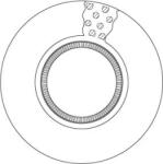 TRW Disc frana TRW DF5094S (DF5094S)