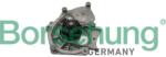 BORSEHUNG Pompă de apă, răcire motor BORSEHUNG B15313 (B15313)