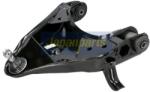JAPANPARTS Brat, suspensie roata JAPANPARTS BS-0302L (BS-0302L)