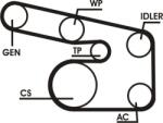 Continental Ctam Set curea transmisie cu caneluri CONTINENTAL CTAM 6PK1873D1 (6PK1873D1) - automobilus