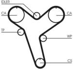CONTITECH Curea de distributie CONTITECH CT894 (CT894)