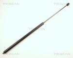 TRISCAN Amortizor capota TRISCAN 8710 24104 (8710 24104) - automobilus