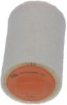 CHAMPION Filtru aer CHAMPION CAF101066R (CAF101066R)