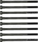 REINZ Set surub, chiulasa REINZ 14-15557-01 (14-15557-01)