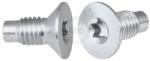 ABS Surub, disc frana ABS 96519 (96519)