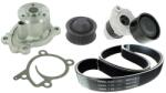 SKF Pompa apa + Set curea transmisie cu caneluri SKF VKMC 62182 (VKMC 62182)