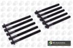 BGA Set surub, chiulasa BGA BK3351 (BK3351)