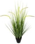 Flair Flower Mesterséges Rókafarkfű Cserépben 25x25x67 cm Műnövény Dekorációs Fű Zöld Solitér Dísznövény Borstenhirse Setaria Beltéri Dekorá