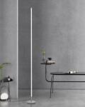 TACAHE Minimalista Sarok Állólámpa - 2700K-6500K Dimmelhető LED Akcentusfény - Távirányítós Modern Állólámpa Nappaliba, Hálószobába - 57" 12