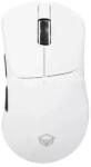 Meetion GW13WHITE Mouse
