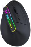 Wozinsky WMG-1164