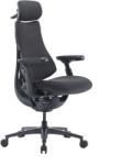 LiberNovo Scaun ergonomic LiberNovo Omni Pro de 48 cm (grafit) (091216)