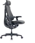 LiberNovo Scaun ergonomic LiberNovo Omni GEN 48 cm (grafit) (091212)