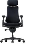 LiberNovo Scaun ergonomic LiberNovo Omni de 48 cm (negru) (091207)