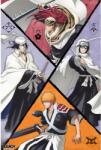 GB eye Maxi poster GB Eye Animation: Bleach - Shinigami Group (GBYDCOA039)