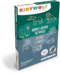 Kidywolf Kidydraw mini kiegészítő kártyák A világ állatai, óceánok és kalózok (REFIL-MINI-AAW-OPI)