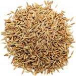 Skworcu Egész római kömény (mag) friss, aromás (K 2113)