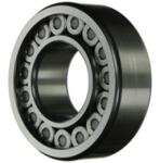 INA Sl 04 5007 Pp (ina)