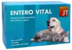 JTPharma JT Entero Vital Suport Digestiv pentru Caini si Pisici 60 Tablete