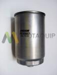 MOTAQUIP Filtru combustibil MOTAQUIP LVFF692 (LVFF692)