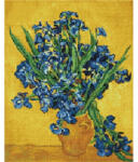 iPicasso Set goblen cu diamante, cu sasiu, Irisi - Van Gogh, 40x50 cm (PD4050160)