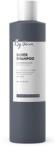 By Veira Sampon Silver, 300ml, By Veira