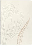  Jegyzetfüzet Clairefontaine Tulip paper, A/6, 10, 5x14, 8cm, 64 lapos, sima (PAP0130-0472)