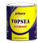 Interbrand Richtig Kober Pitura Alb Polar 0.6l (12 Buc/bax)
