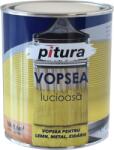 Interbrand Richtig Kober Pitura Verde Luminos 0.6l (12 Buc/bax)