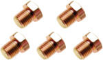 BGS technic olajleeresztő csavarok M13 x 1, 5 mm 5 db (126-SM13)