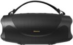 Hisense FlexBoom Black (20019368)